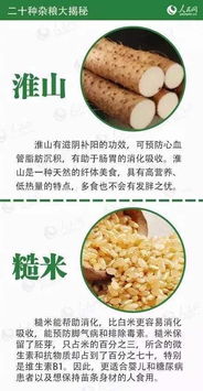 二十種雜糧大揭秘，受用一生的健康寶典